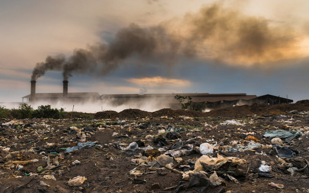 Contaminantes