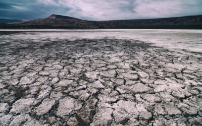 Cuidemos nuestro recurso más preciado: el agua!